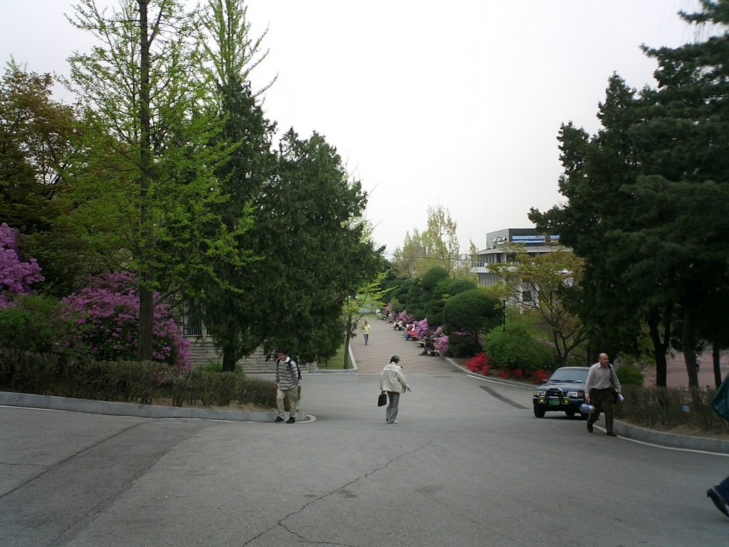 2006.04.29-18.27.46.JPG
